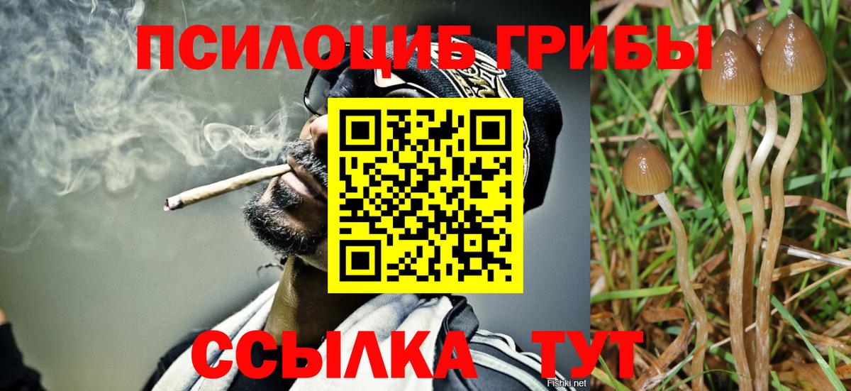 Галлюциногенные грибы Cubensis Донецк